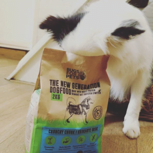 BugsforPets legt de focus op het verduurzamen van dierenvoeding
