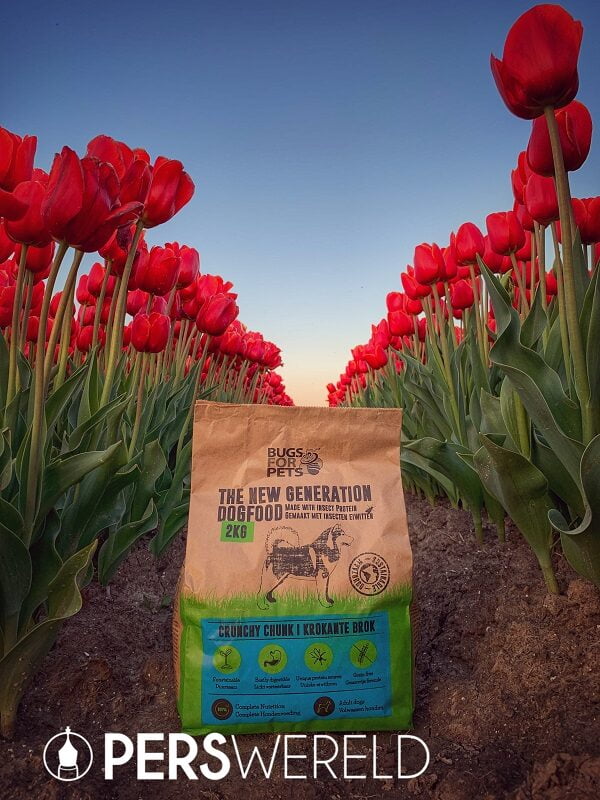 bugsforpets-hondenvoer-op-basis-van-insecten-1