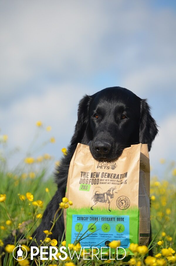 bugsforpets-hondenvoer-op-basis-van-insecten-3