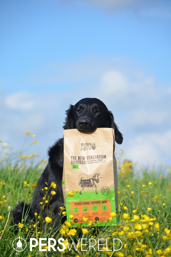 bugsforpets-hondenvoer-op-basis-van-insecten-5