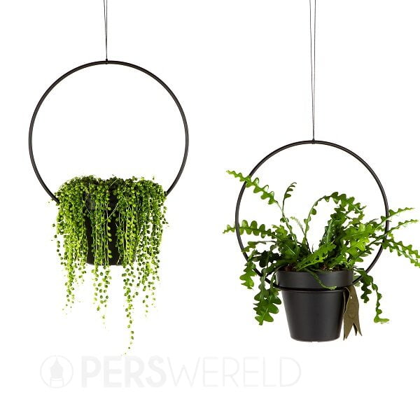 happycircle-plantenhanger-baby-black