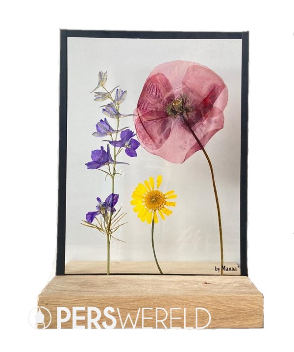 bymanoa-bloemenlijst-klaproos-kamille-ridderspoor