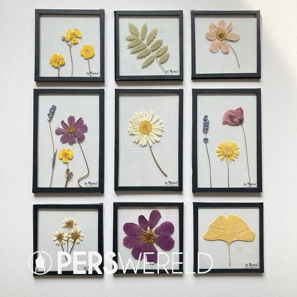 bymanoa-bloemenlijstjes-collage-2