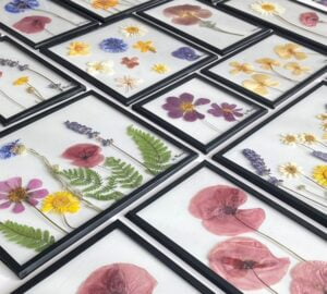 bymanoa-bloemenlijstjes-collage-website