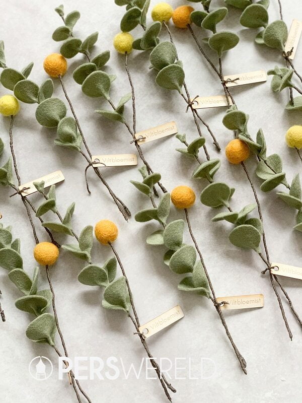 viltbloemist-viltbloeiers-eucalyptus-craspedia