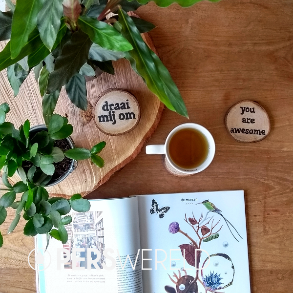 sapedi-houten-onderzetters-los