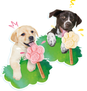smoofl-hondenijs-voor-pups-website
