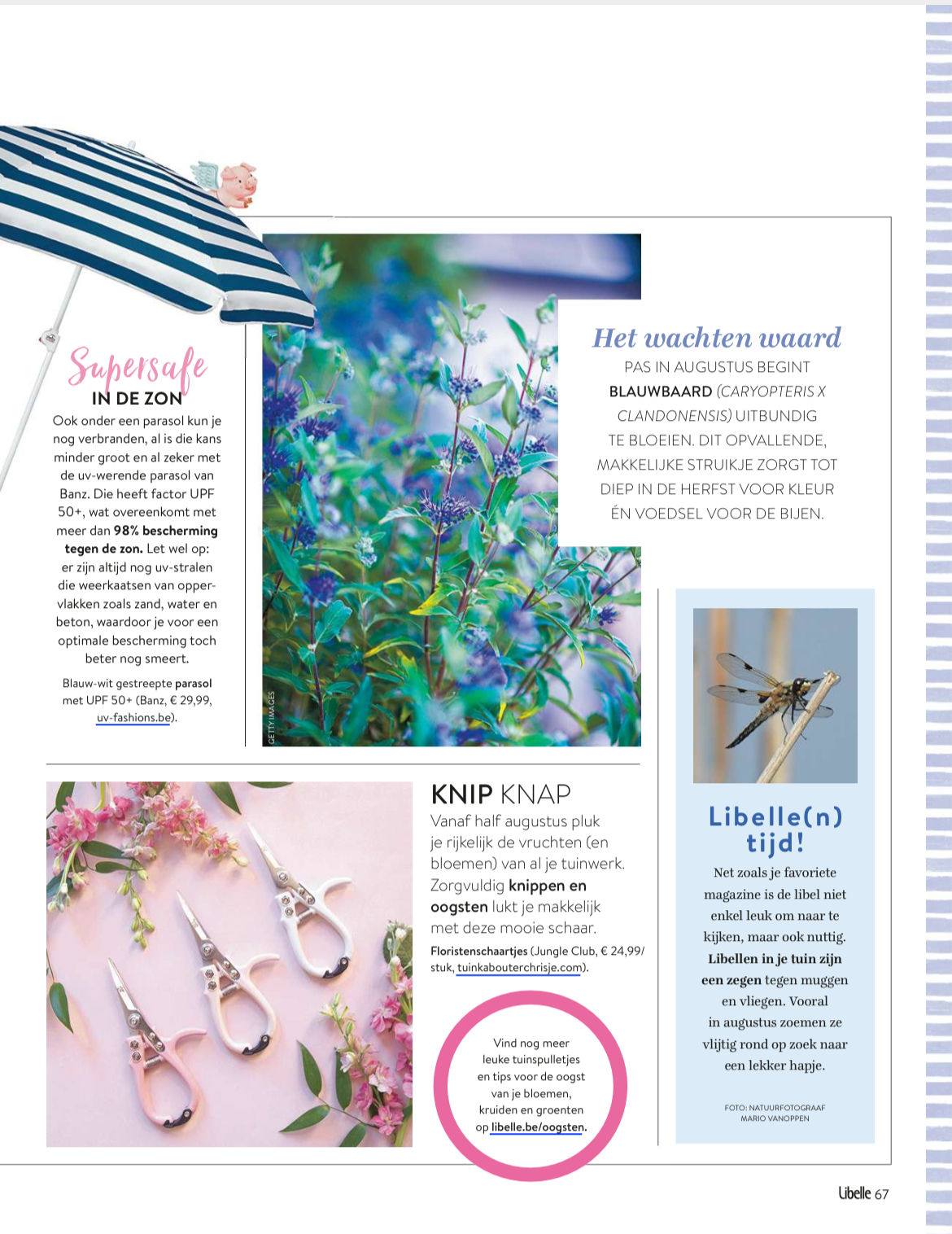 Tijdschrift Libelle Belgie 33 - augustus 2024