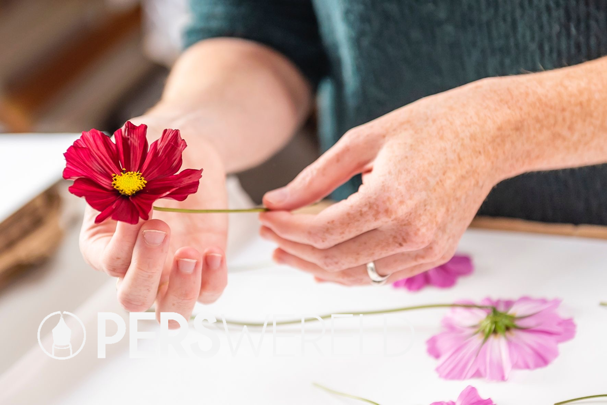 bymanoa-bloemenlijstjes-boemen-drogen
