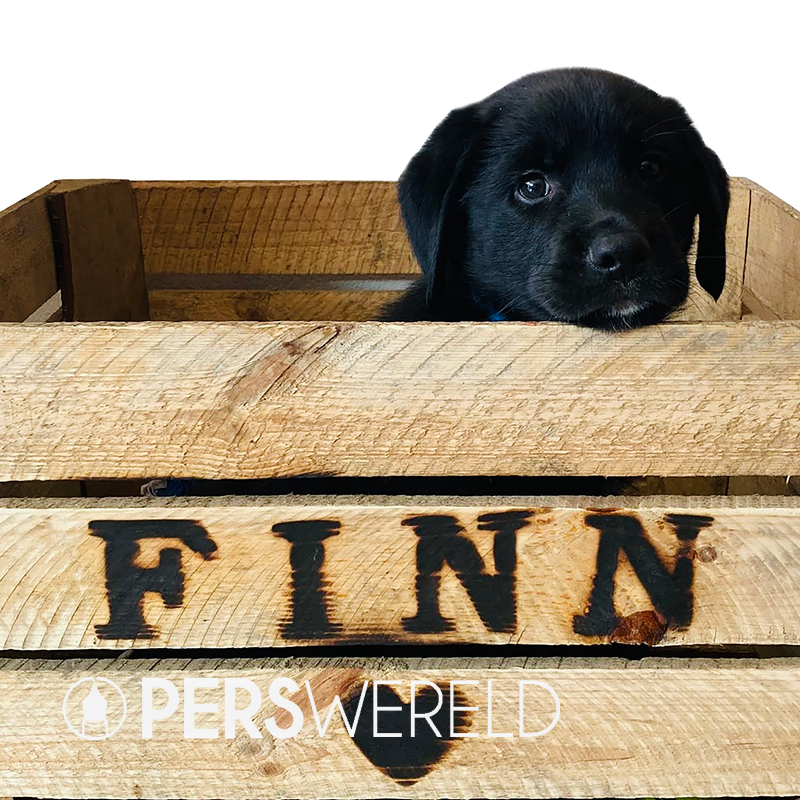 liefslabel-houten-kist-finn