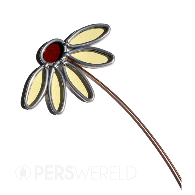 glassbyhan-glazen-bloem-wildflower-echinacea-sunrise