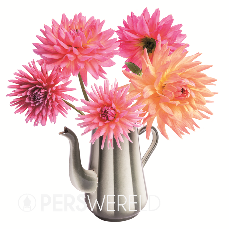 flatflowers-raamsticker-dahlias-retro-1