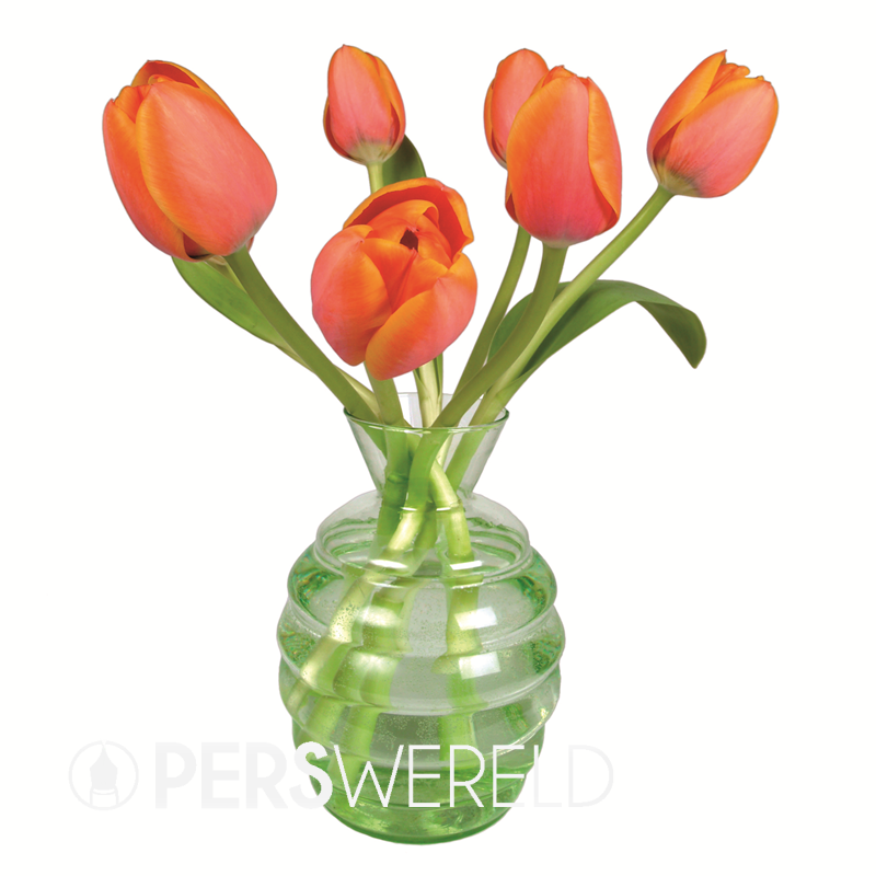 flatflowers-raamsticker-oranje-tulp-2