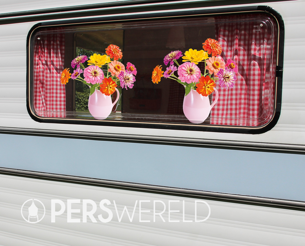 flatflowers-raamsticker-zinnia